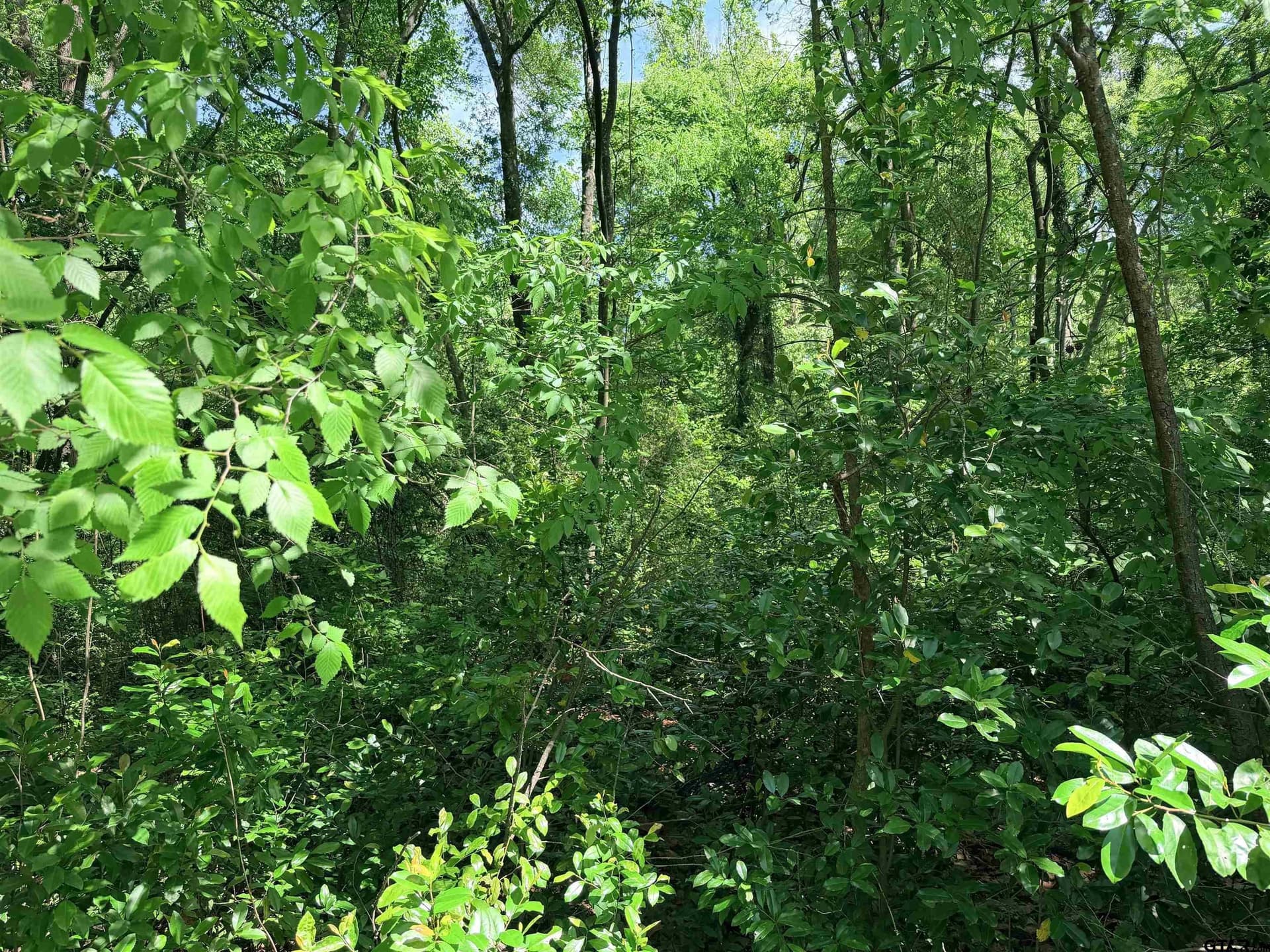 0.26 acres in Smith County gallery image 2