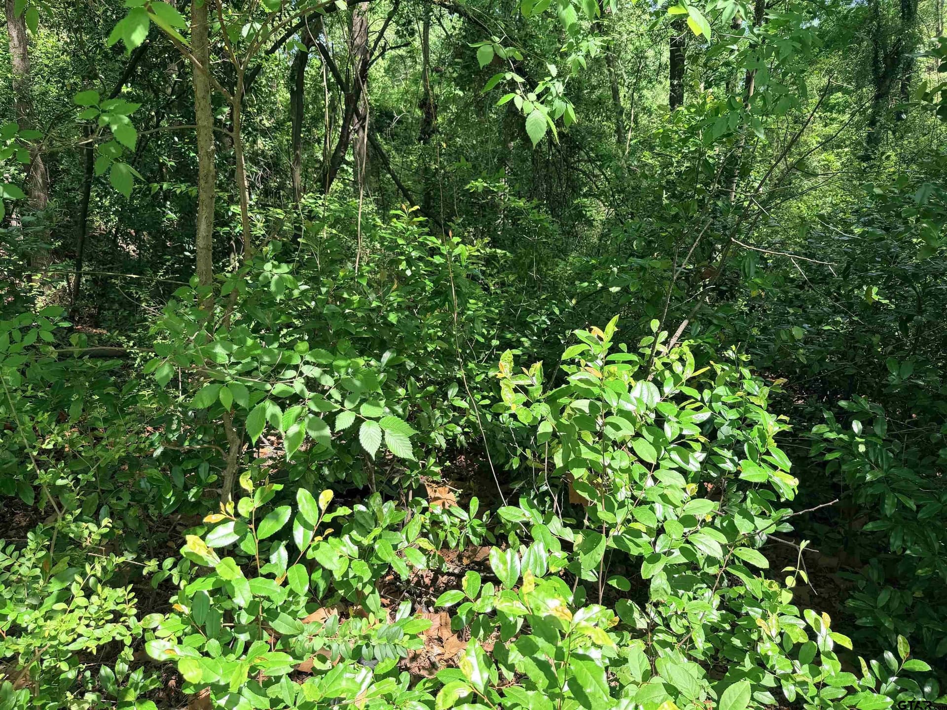 0.26 acres in Smith County featured view