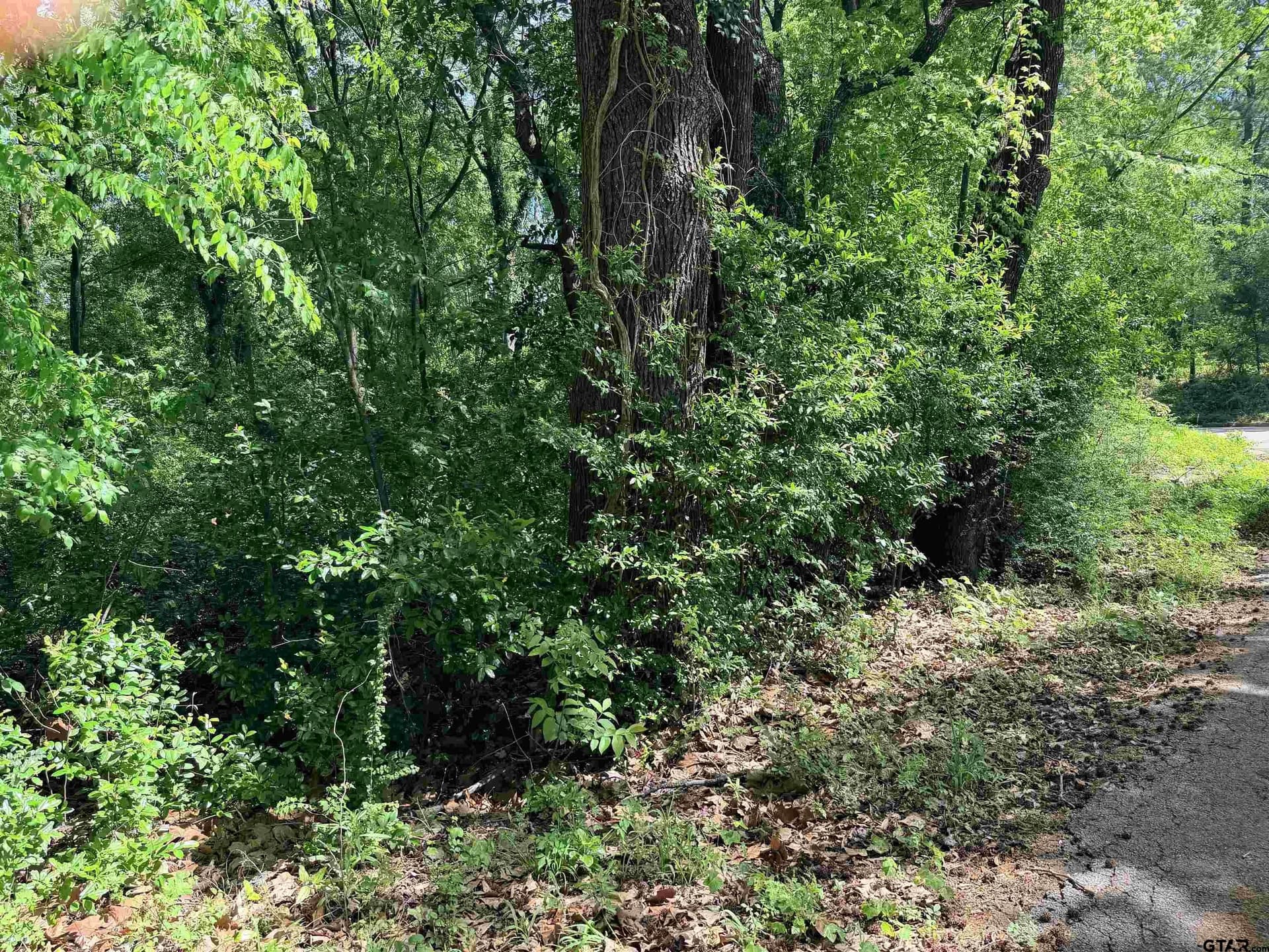 0.26 acres in Smith County gallery image 3