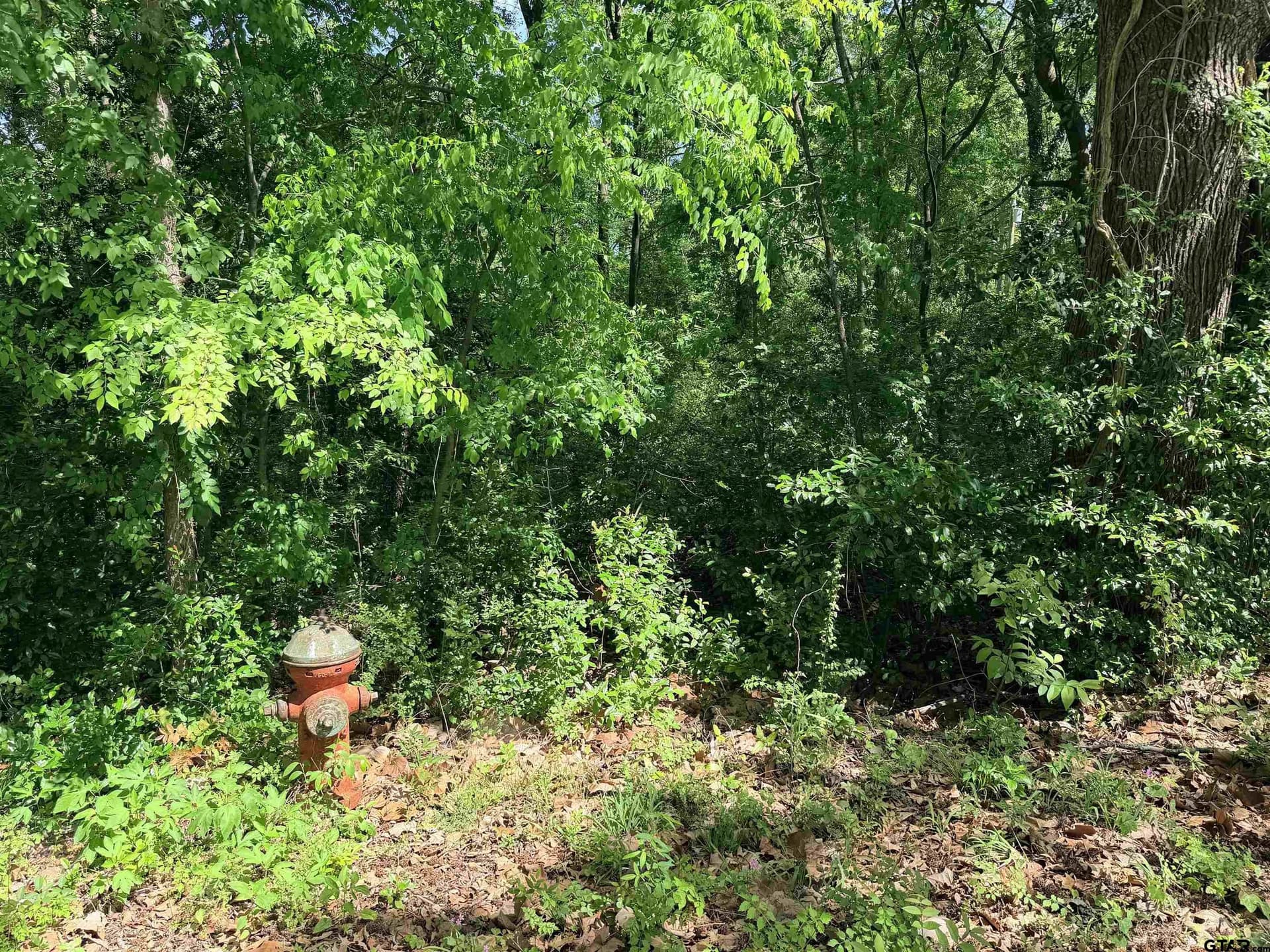 0.26 acres in Smith County gallery image 4