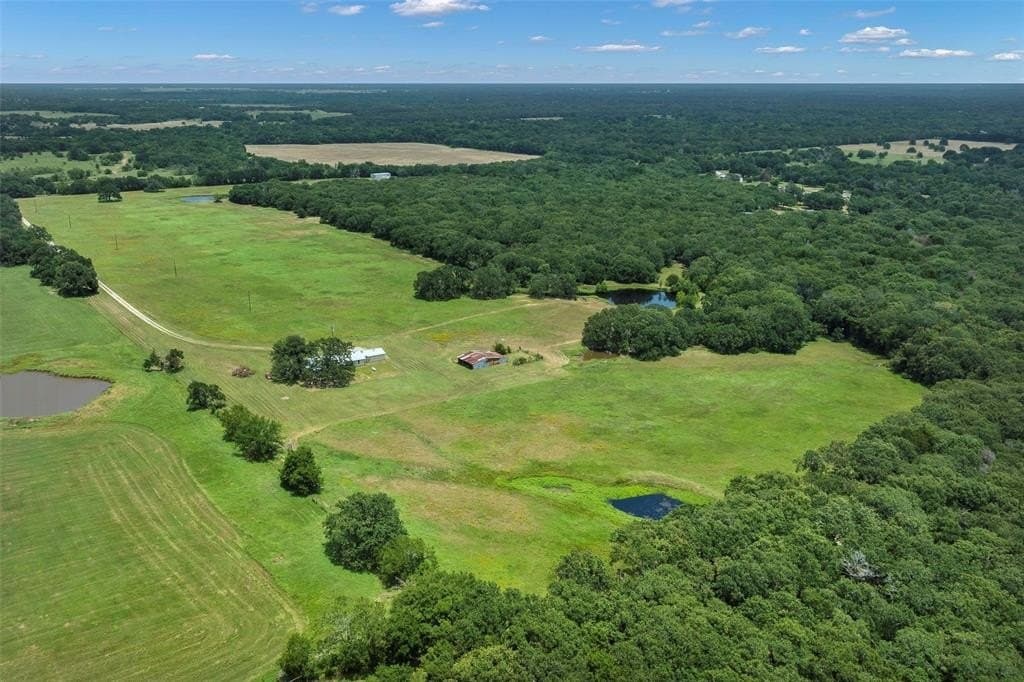 68.85 acres in Kaufman County gallery image 2