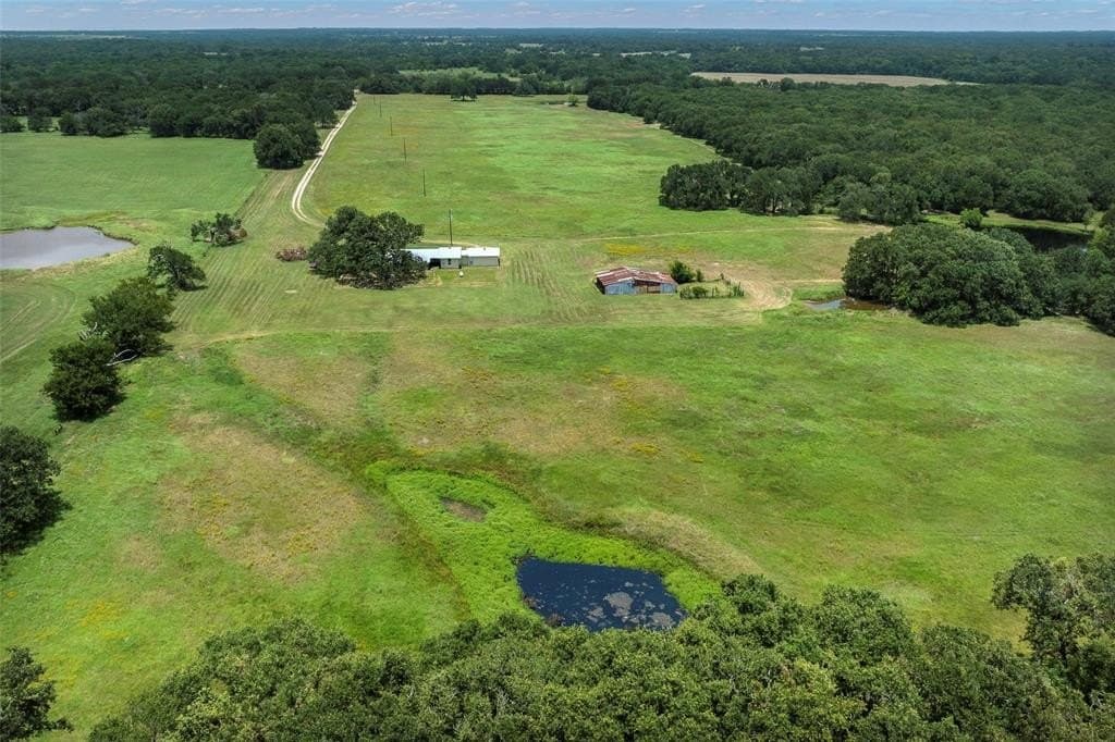 68.85 acres in Kaufman County gallery image 3