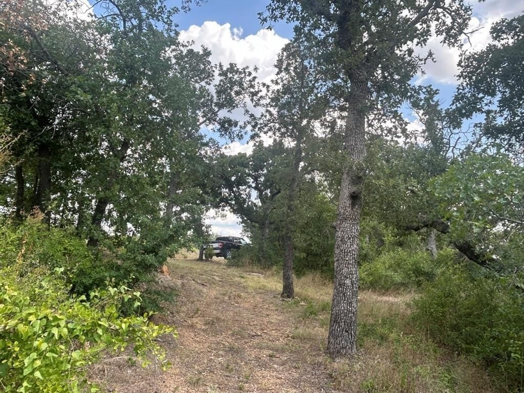 0 acres in Young County featured view