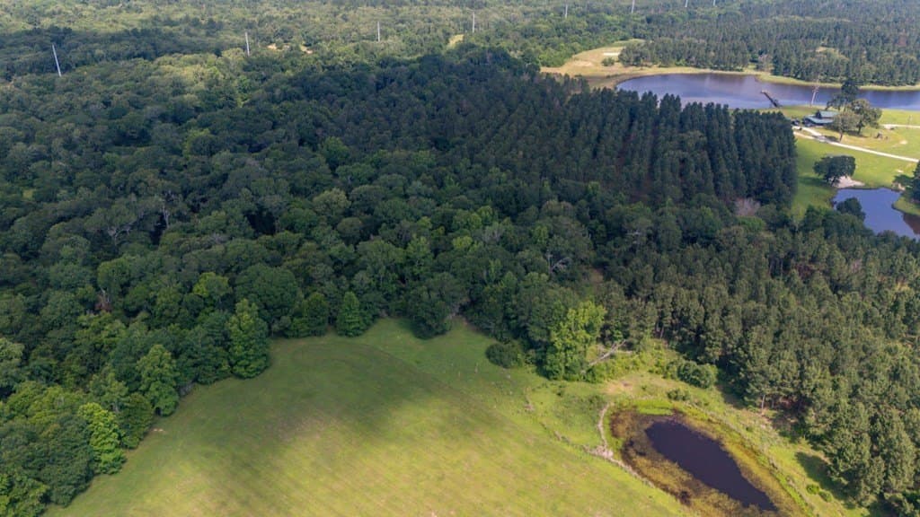 10.04 acres in Texas County - photo 20
