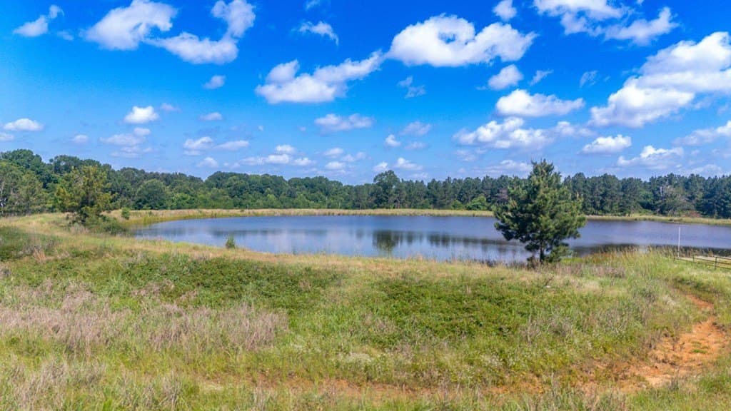 10.04 acres in Texas County - photo 7