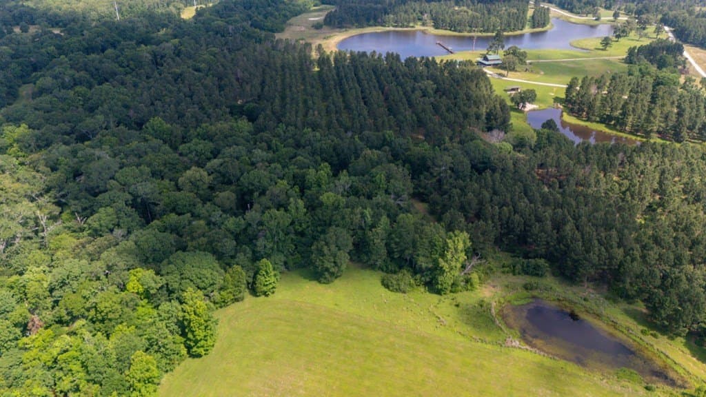 10.04 acres in Texas County - photo 32