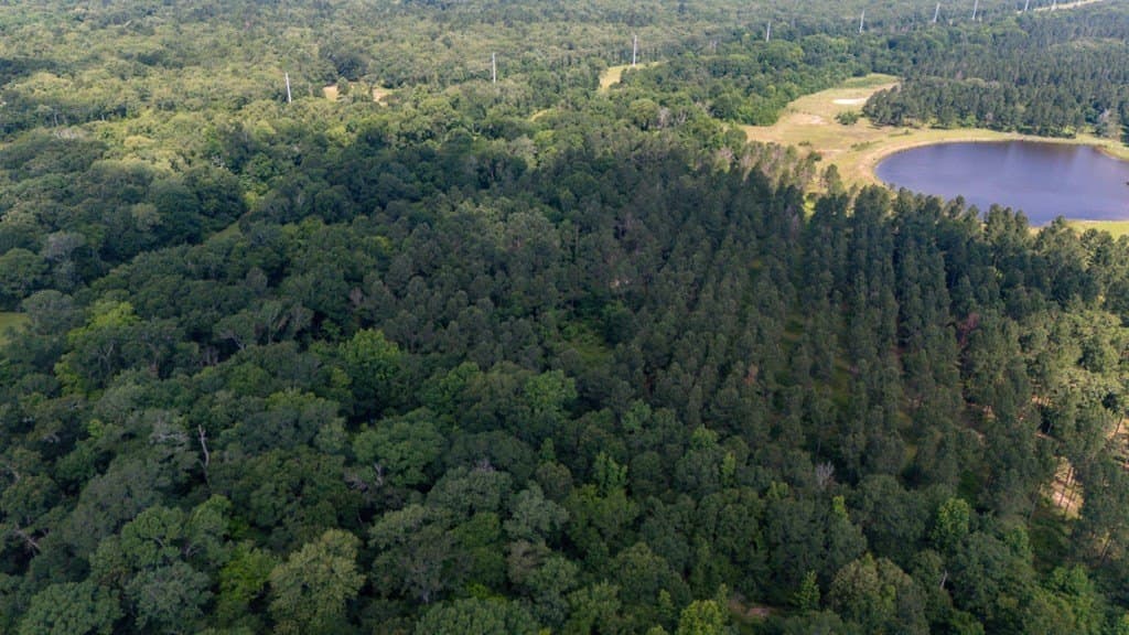 10.04 acres in Texas County - photo 19