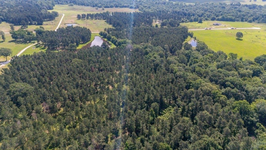 10.04 acres in Texas County - photo 17