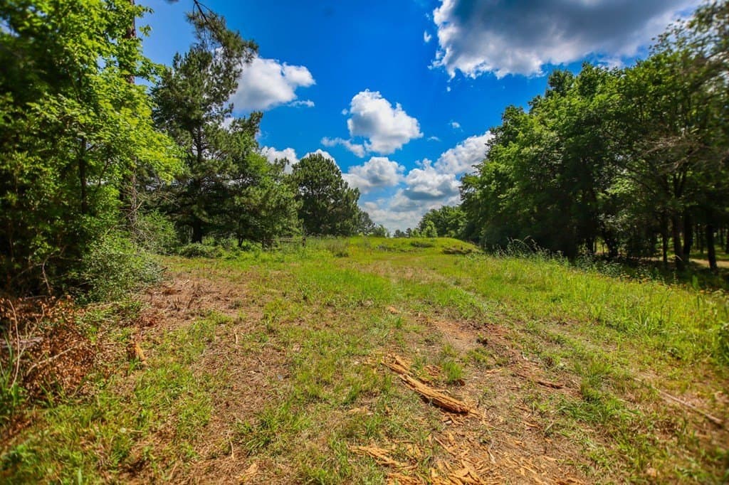 10.04 acres in Texas County - photo 6
