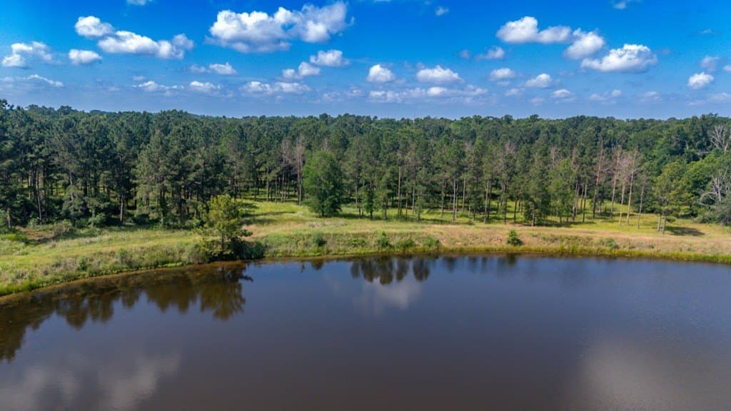 10.04 acres in Texas County - photo 9