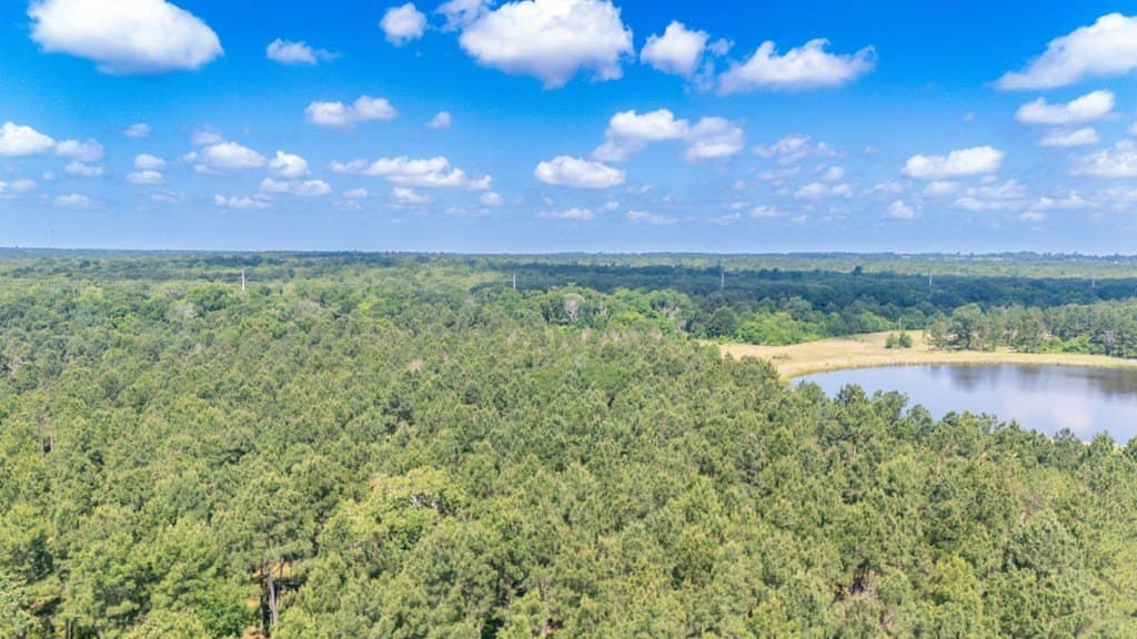 10.04 acres in Texas County - photo 37
