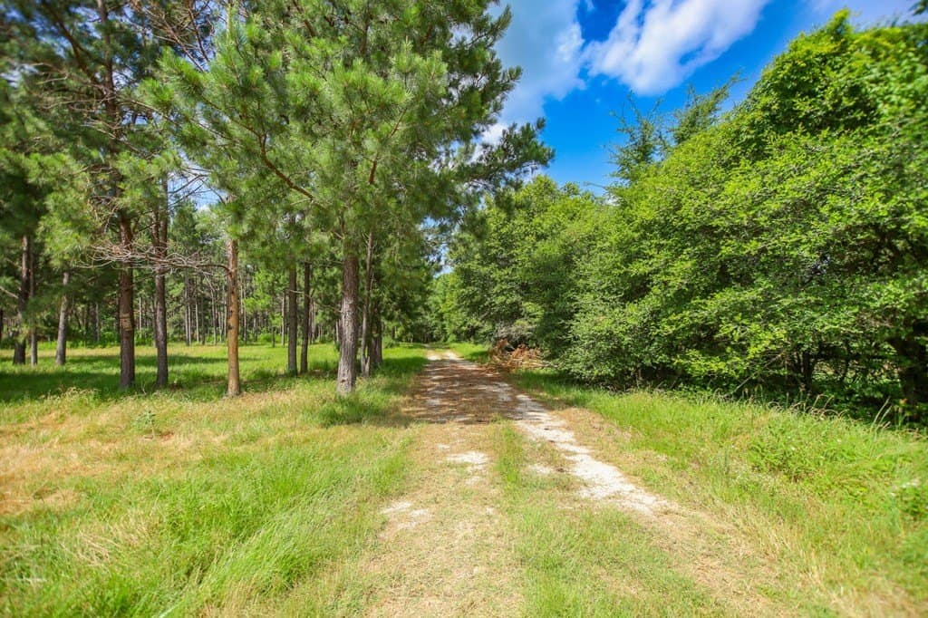 10.04 acres in Texas County - photo 40