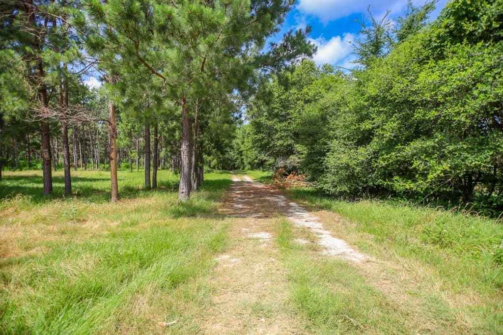 10.04 acres in Texas County gallery image 4