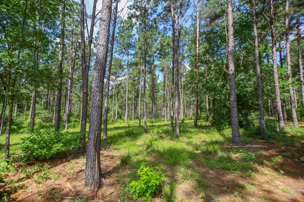 10.04 acres in Texas County - photo 39