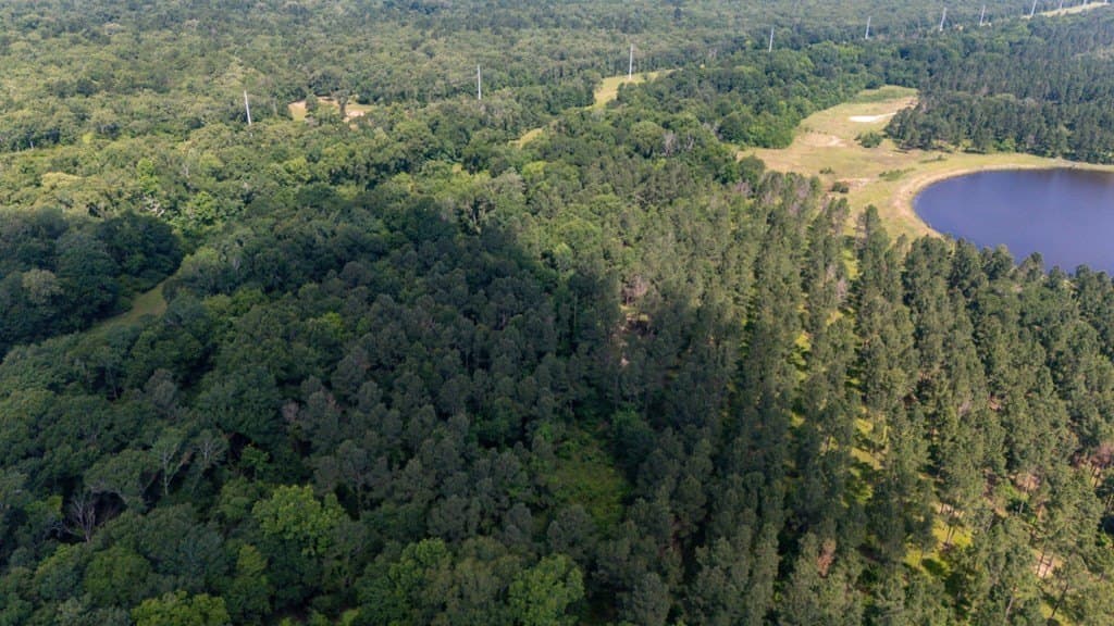 10.04 acres in Texas County - photo 18