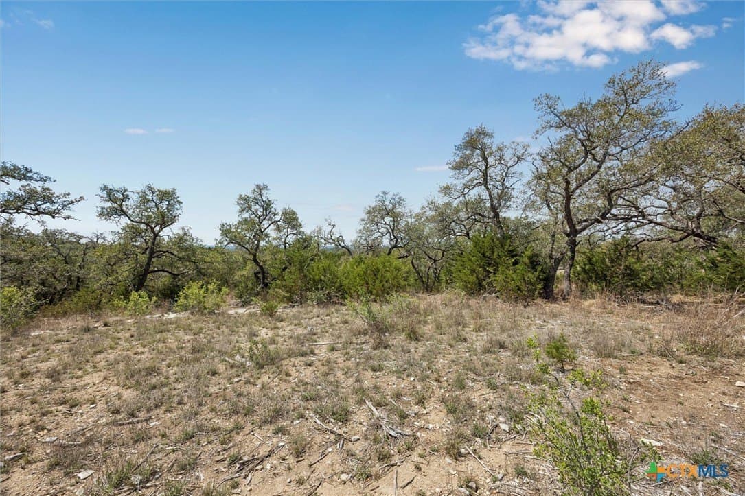 1.08 acres in Comal County gallery image 3