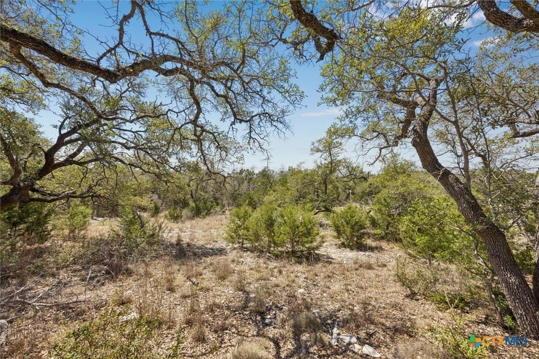 1.08 acres in Comal County gallery image 4