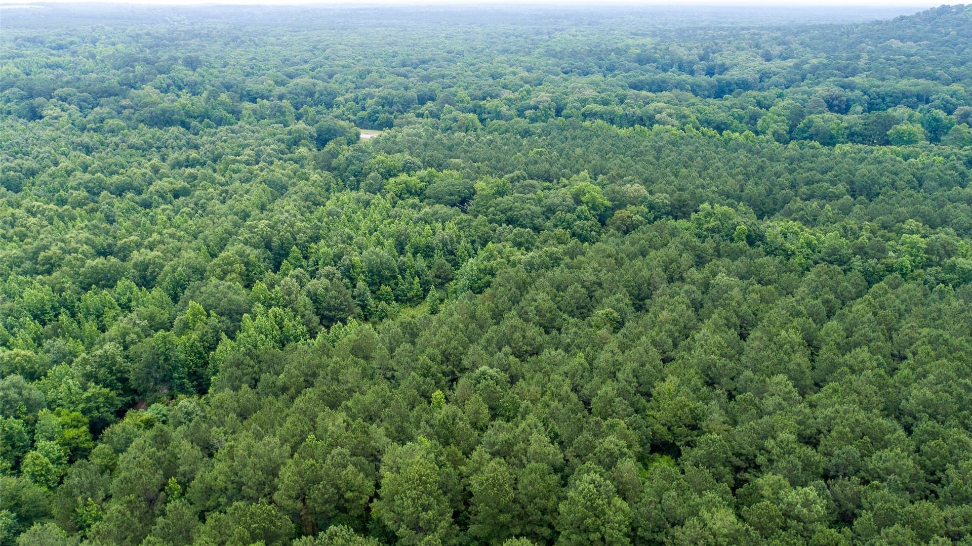 421.97 acres in Camp County - photo 9