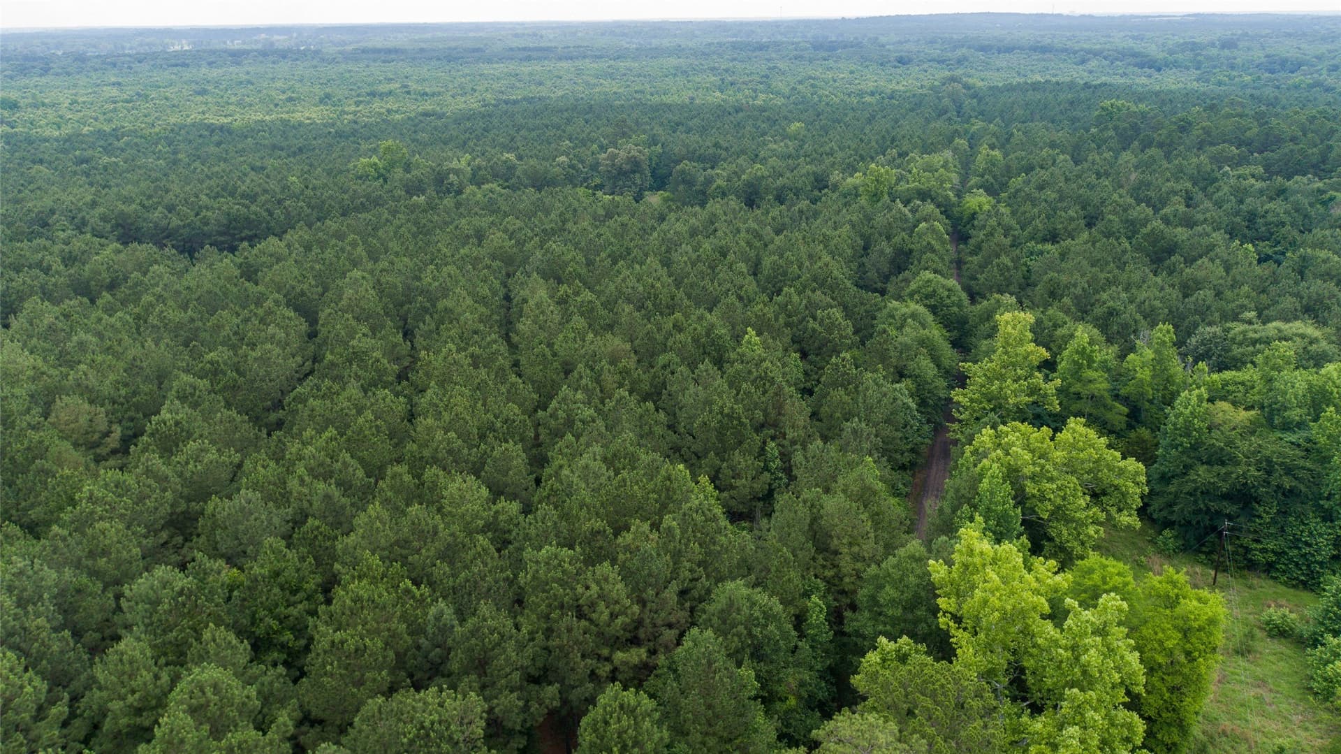 421.97 acres in Camp County