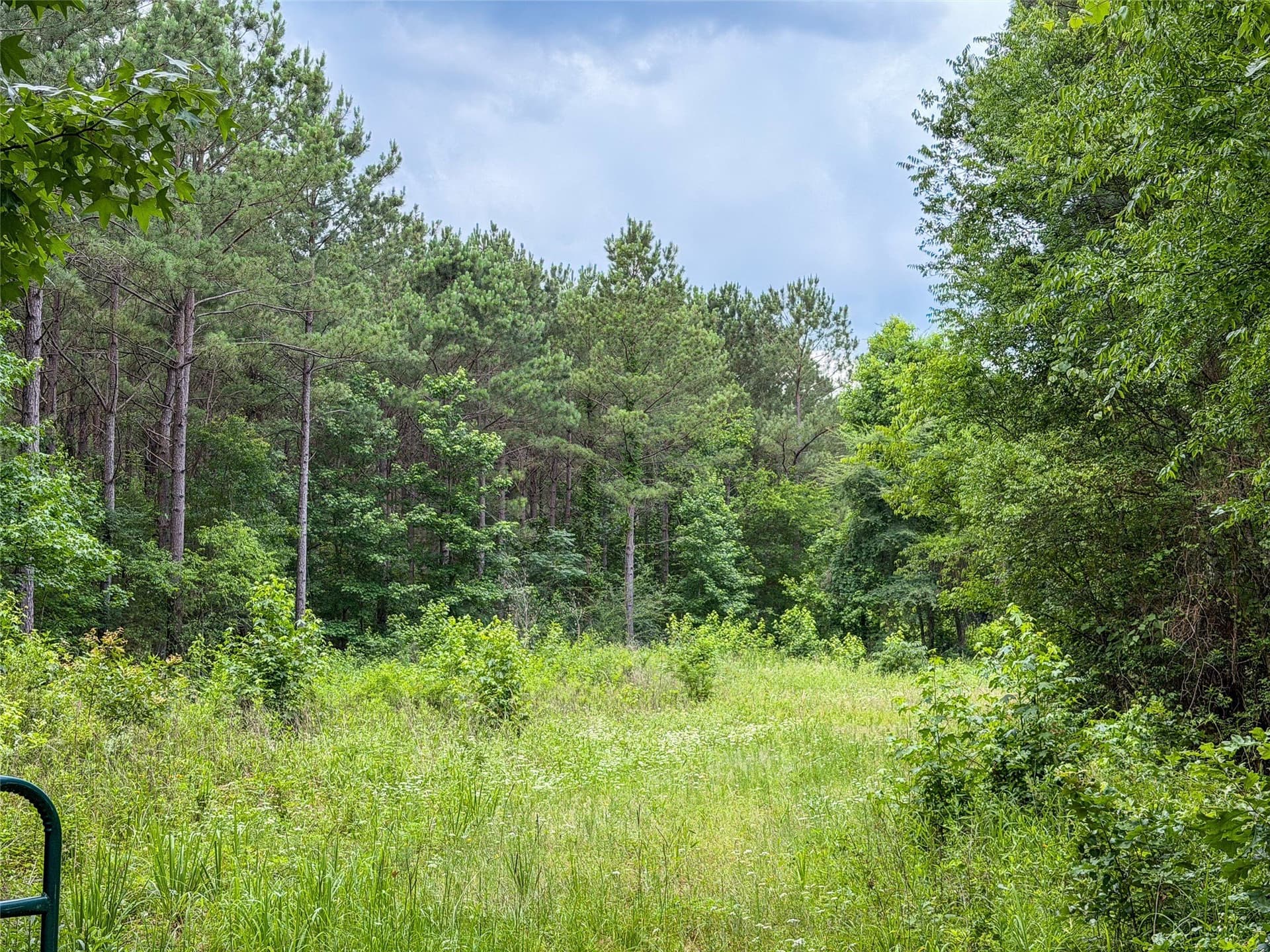421.97 acres in Camp County - photo 29