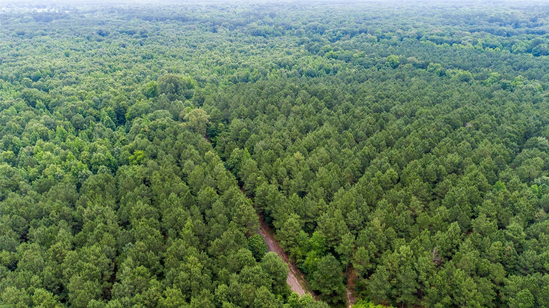 421.97 acres in Camp County - photo 8