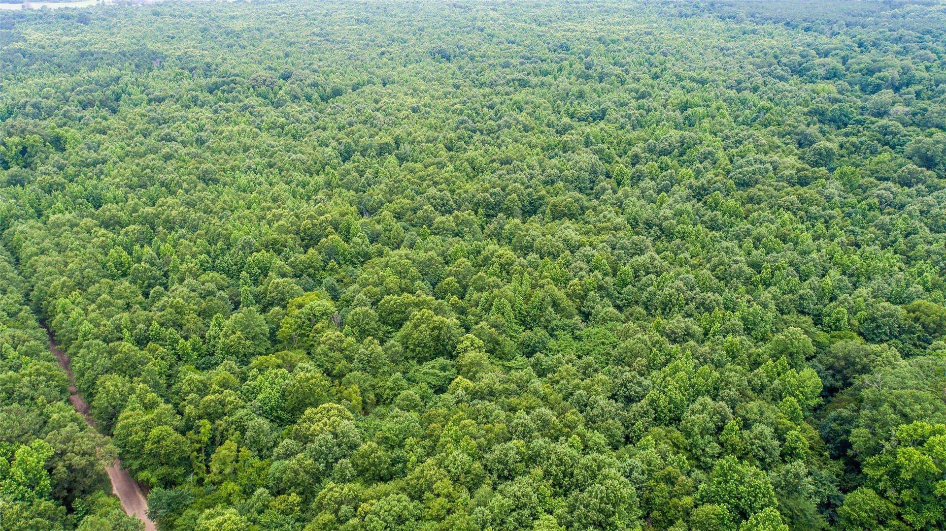 421.97 acres in Camp County - photo 13