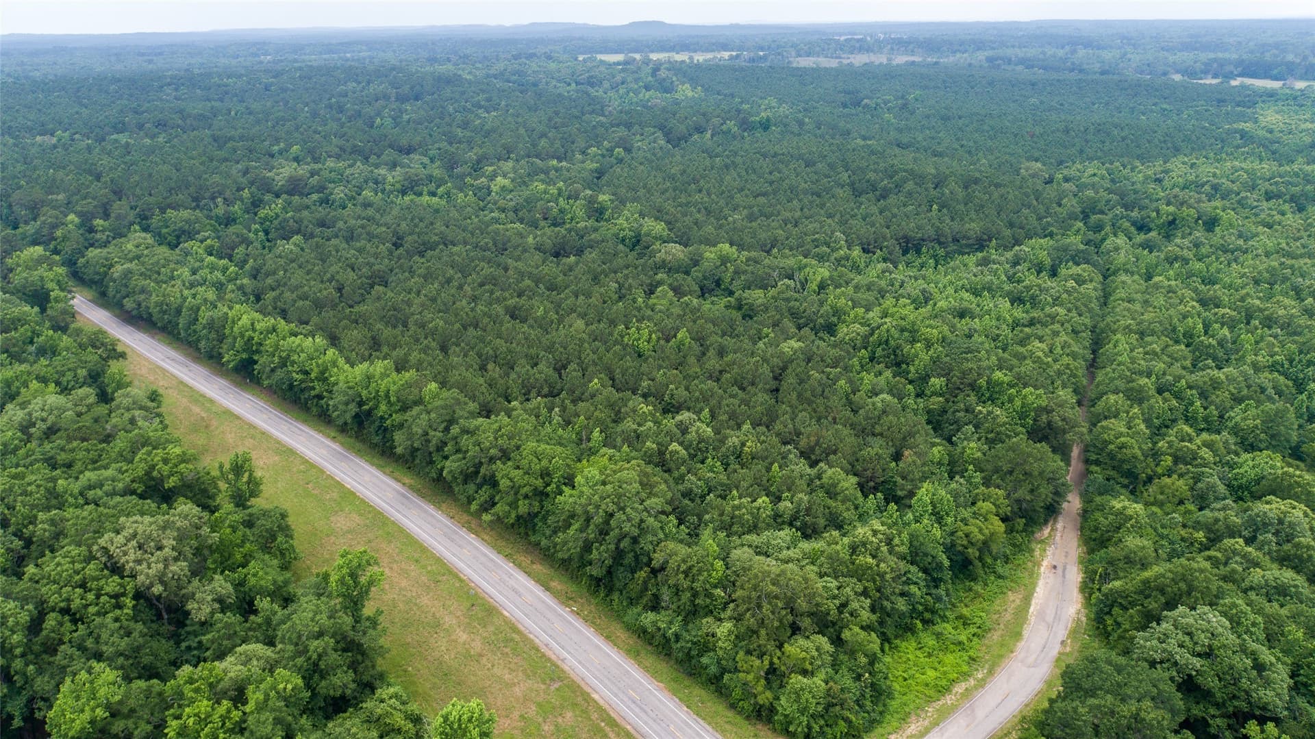 421.97 acres in Camp County - photo 11