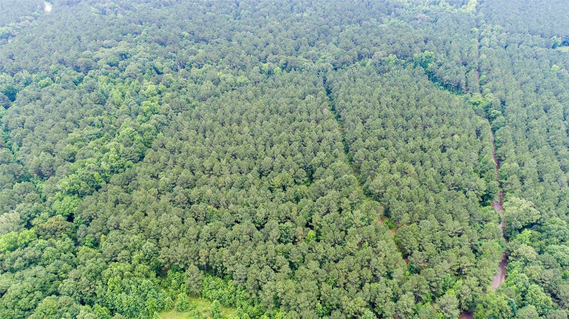 421.97 acres in Camp County - photo 17