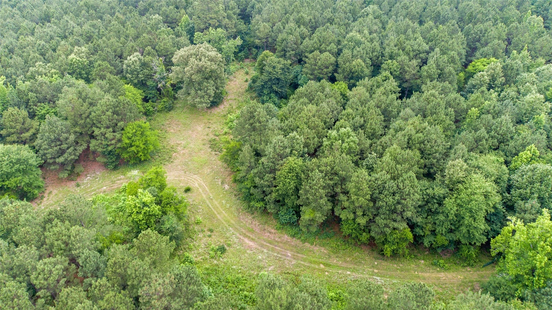 421.97 acres in Camp County gallery image 4