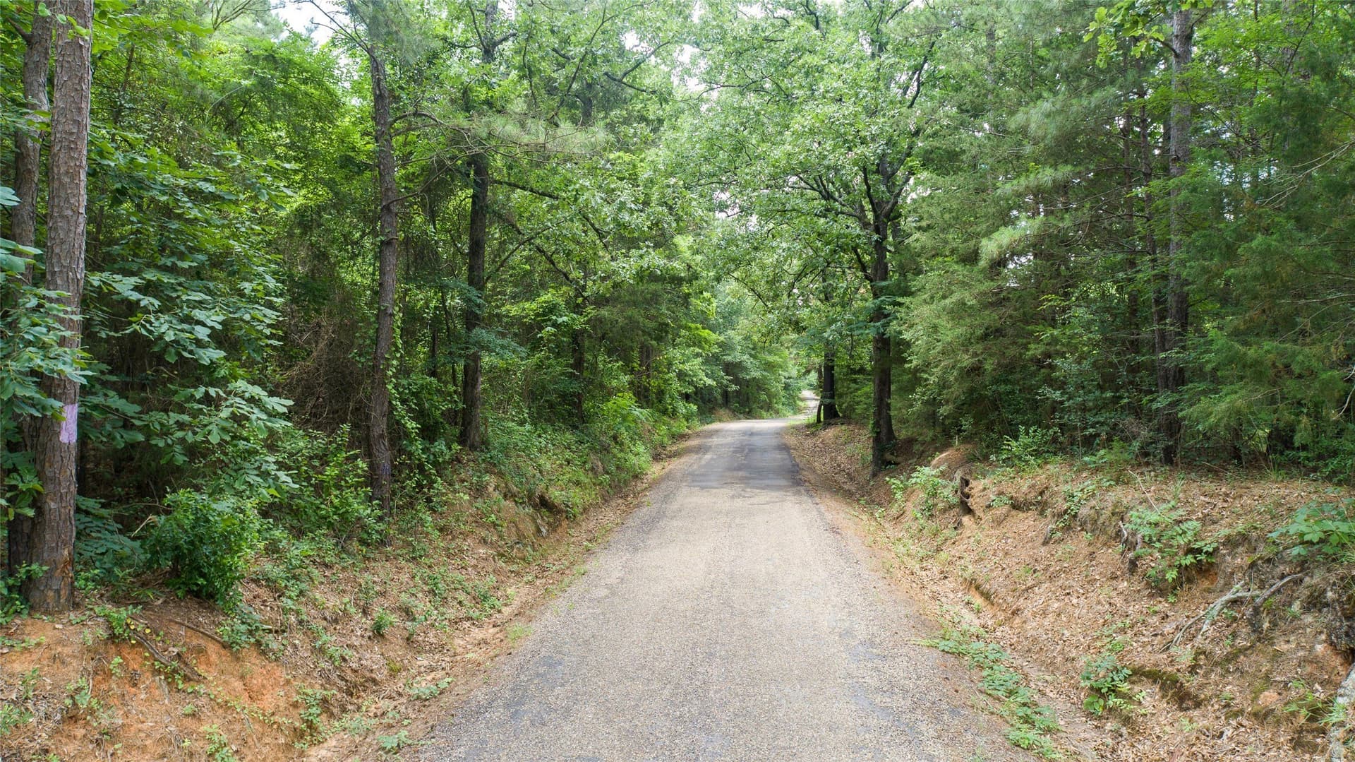 421.97 acres in Camp County - photo 18