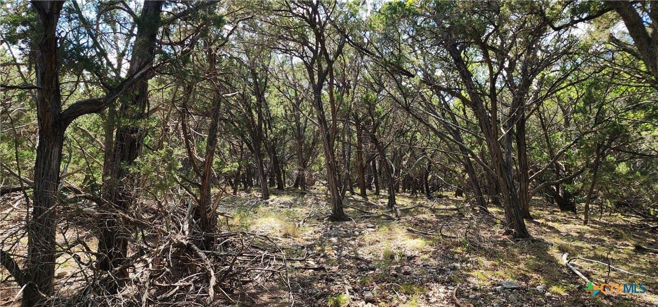 5.32 acres in Bandera County gallery image 2