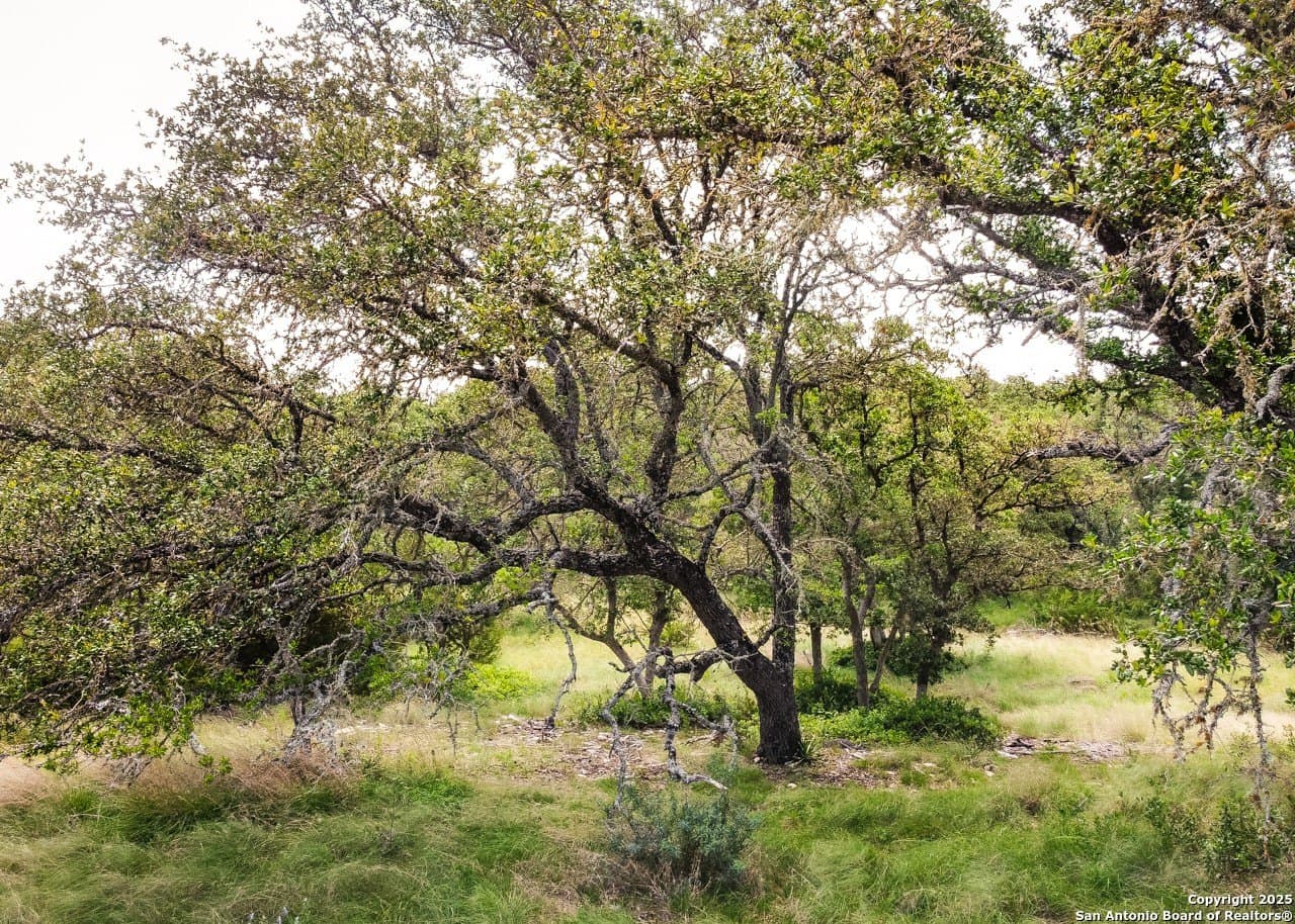 21.43 acres in Kimble County - photo 20