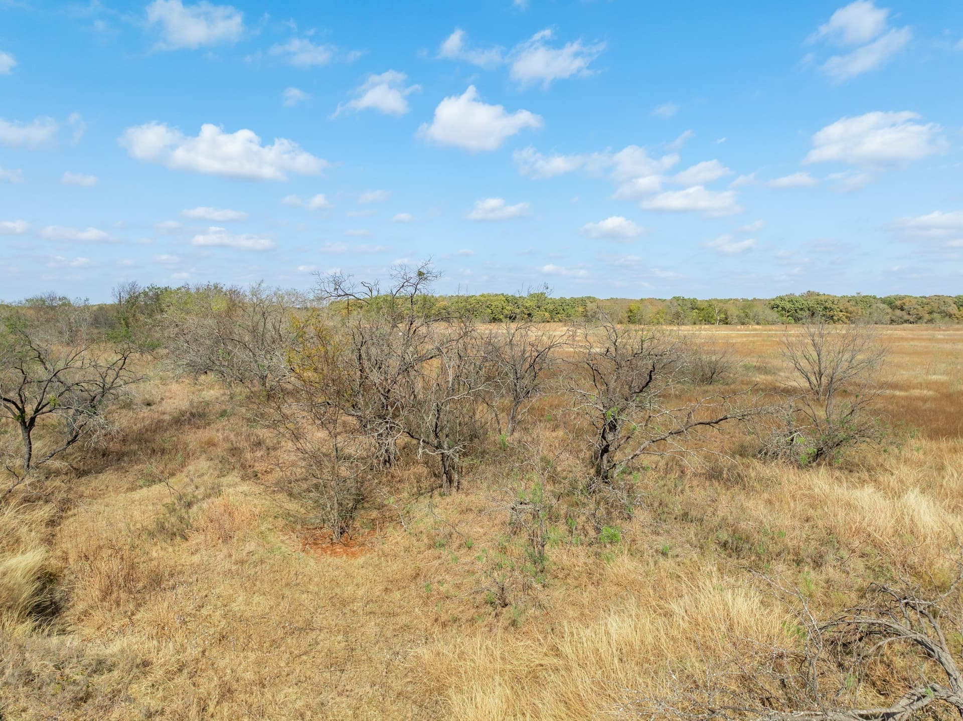 10.01 acres in Hill County gallery image 3