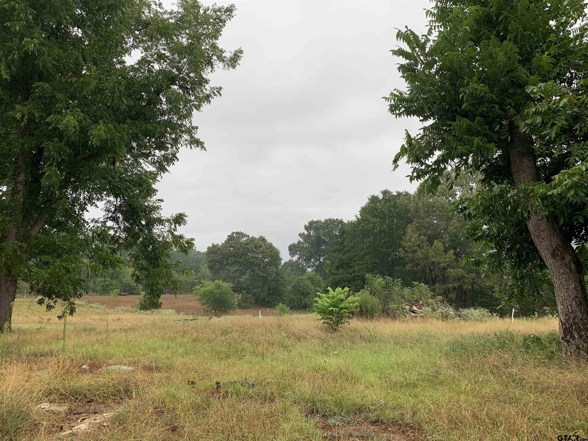 5 acres in Wood County - photo 10