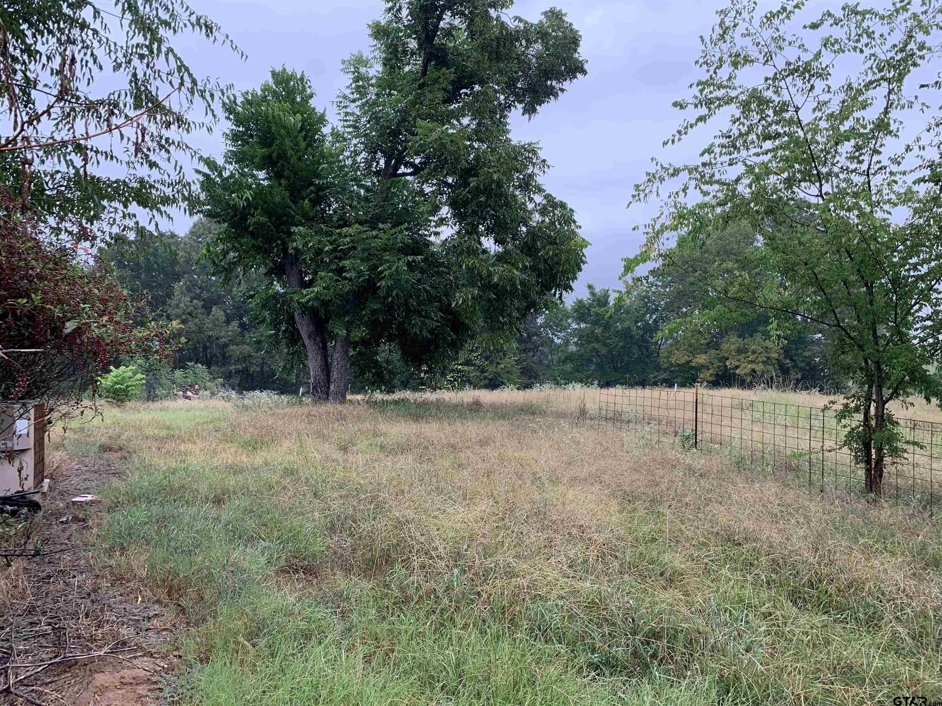 5 acres in Wood County - photo 9