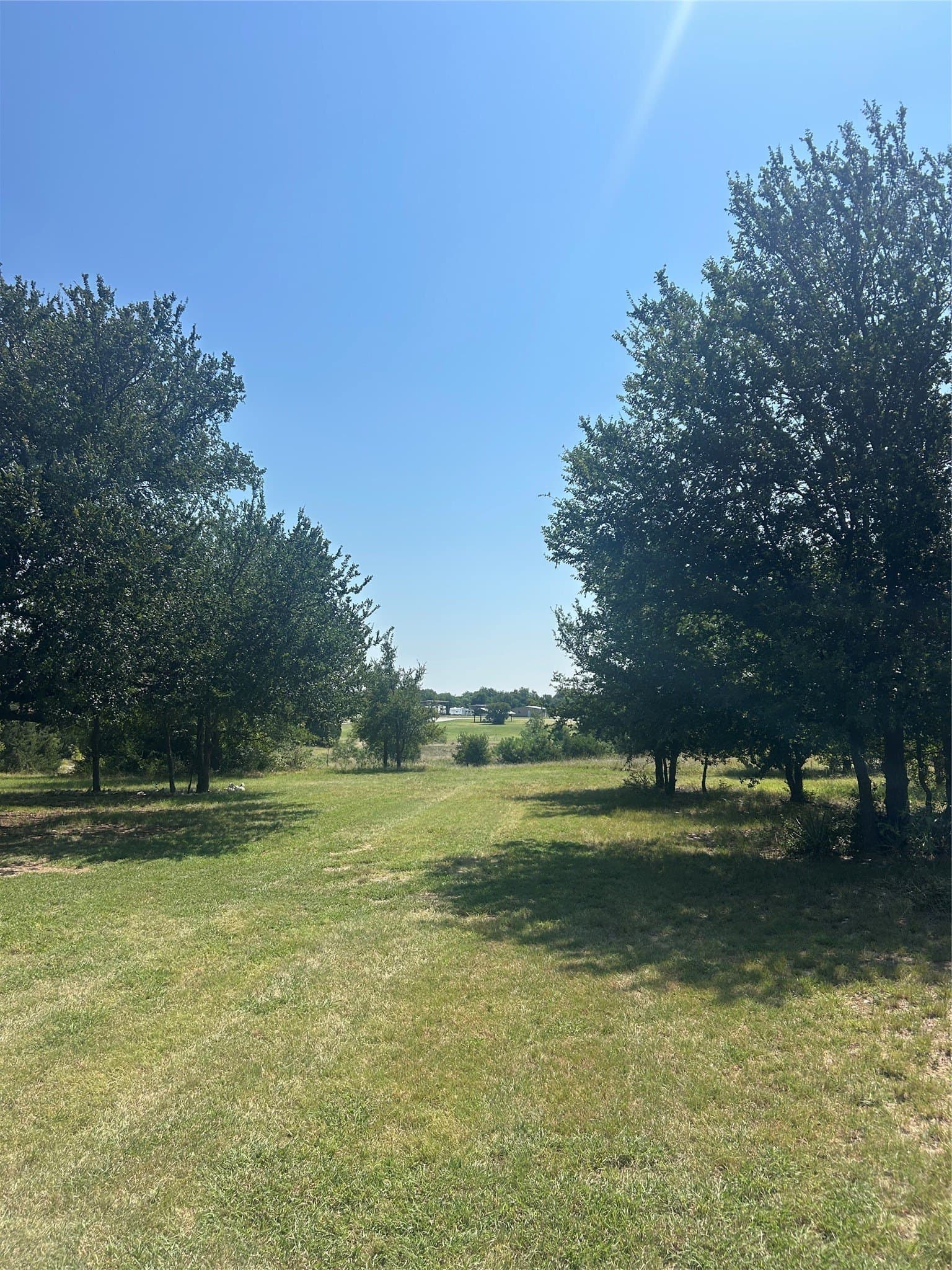 20 acres in Bosque County - photo 17