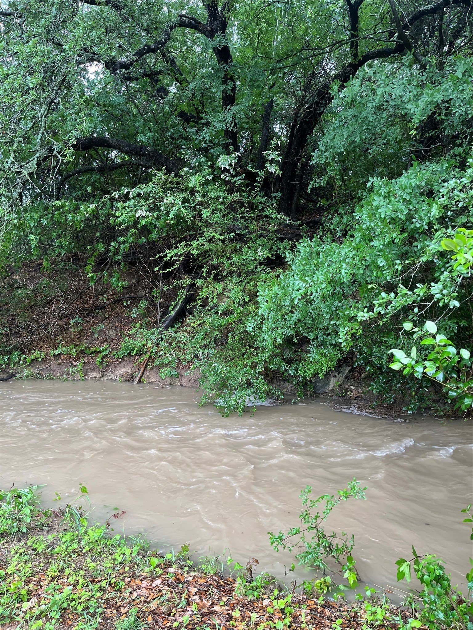 20 acres in Bosque County - photo 22