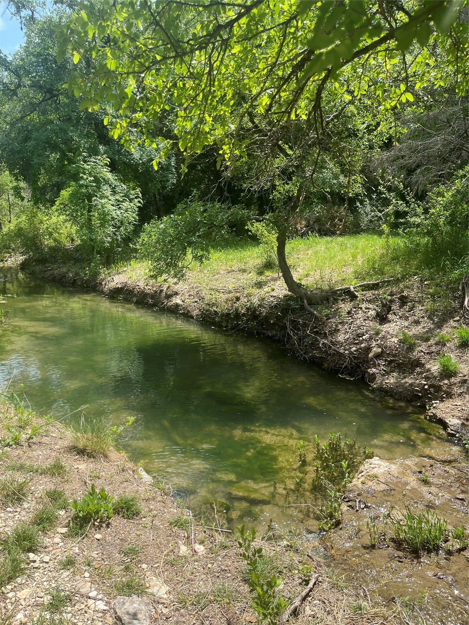 20 acres in Bosque County - photo 19
