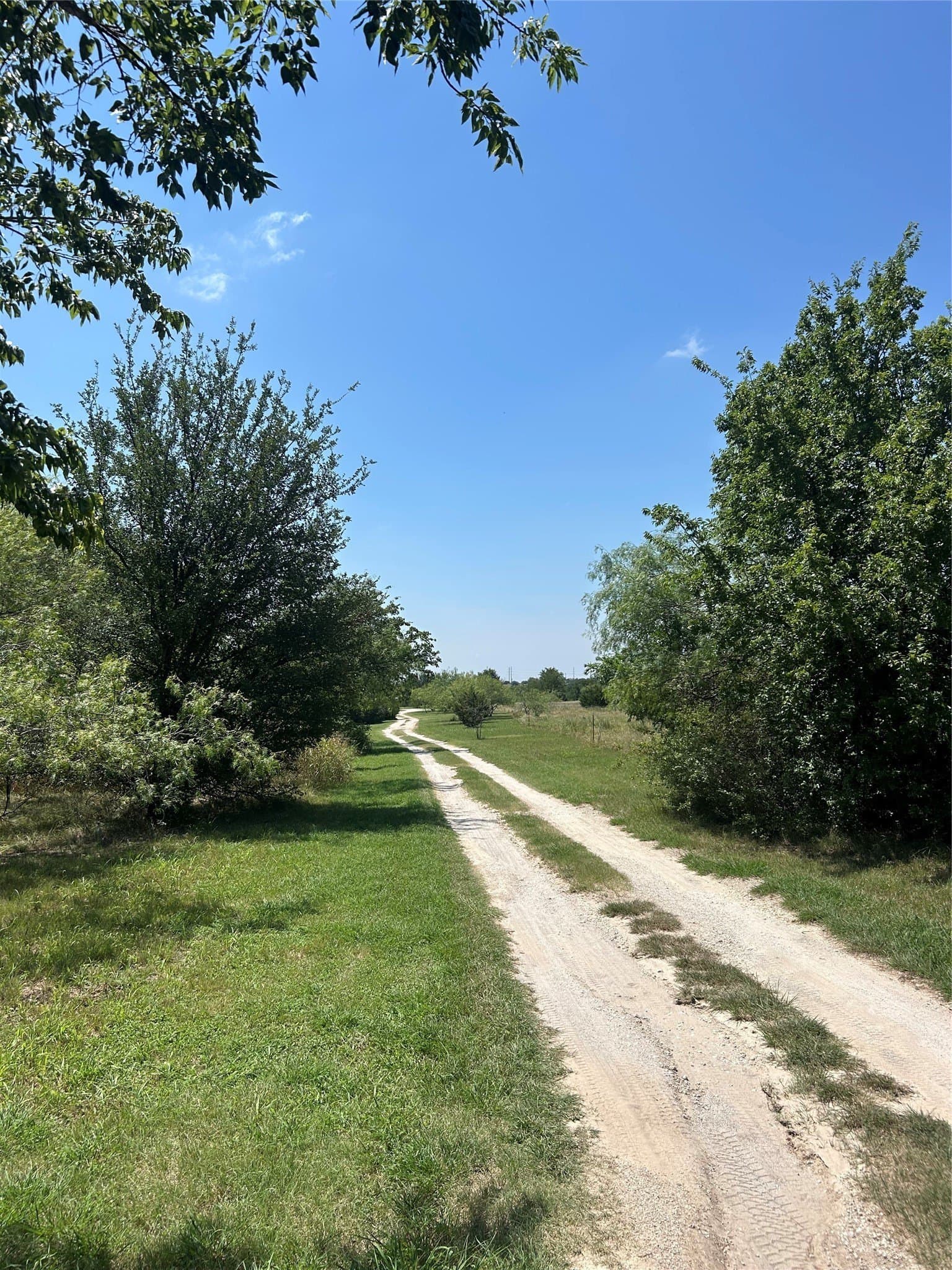20 acres in Bosque County - photo 18