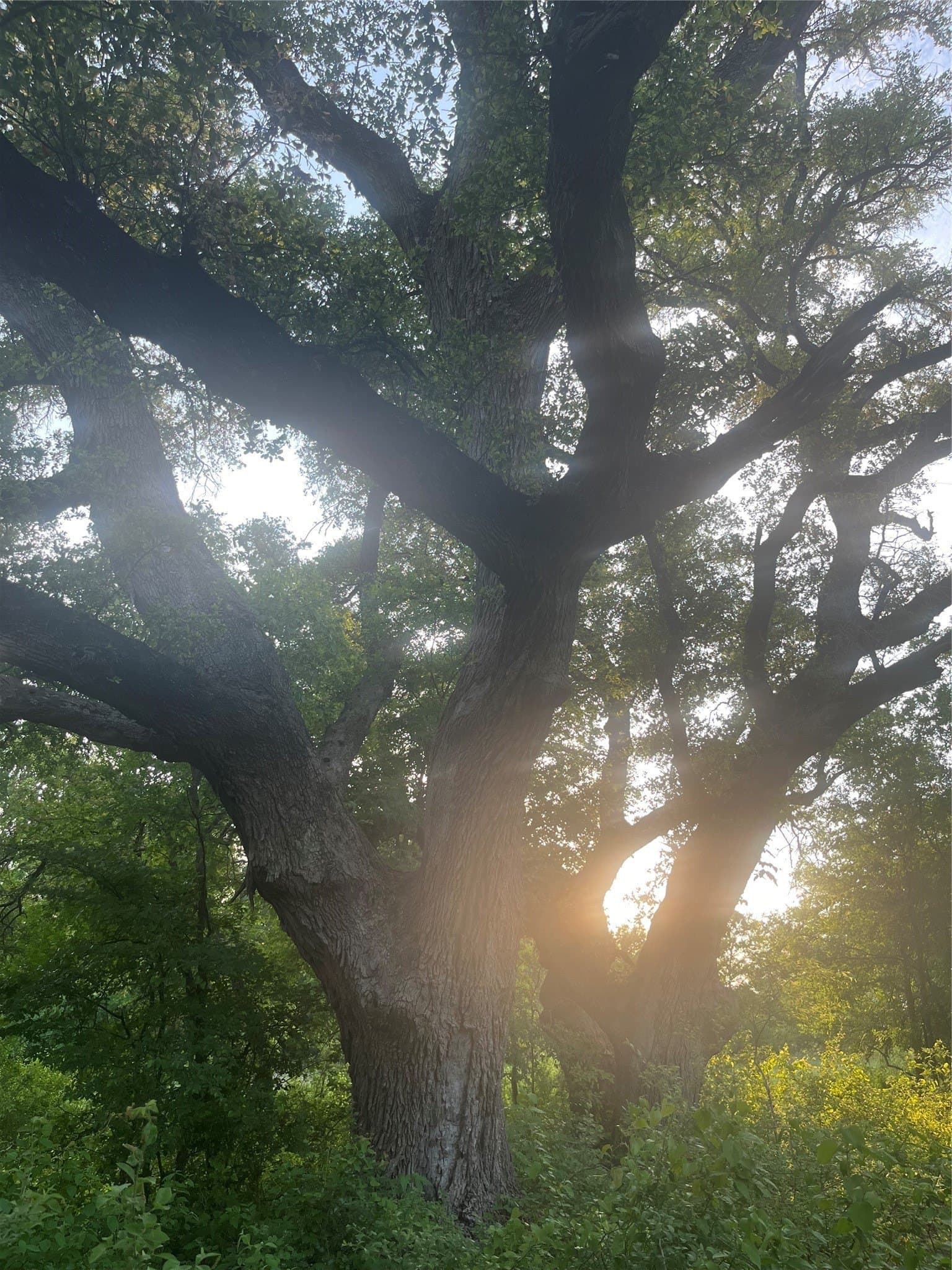 20 acres in Bosque County - photo 20