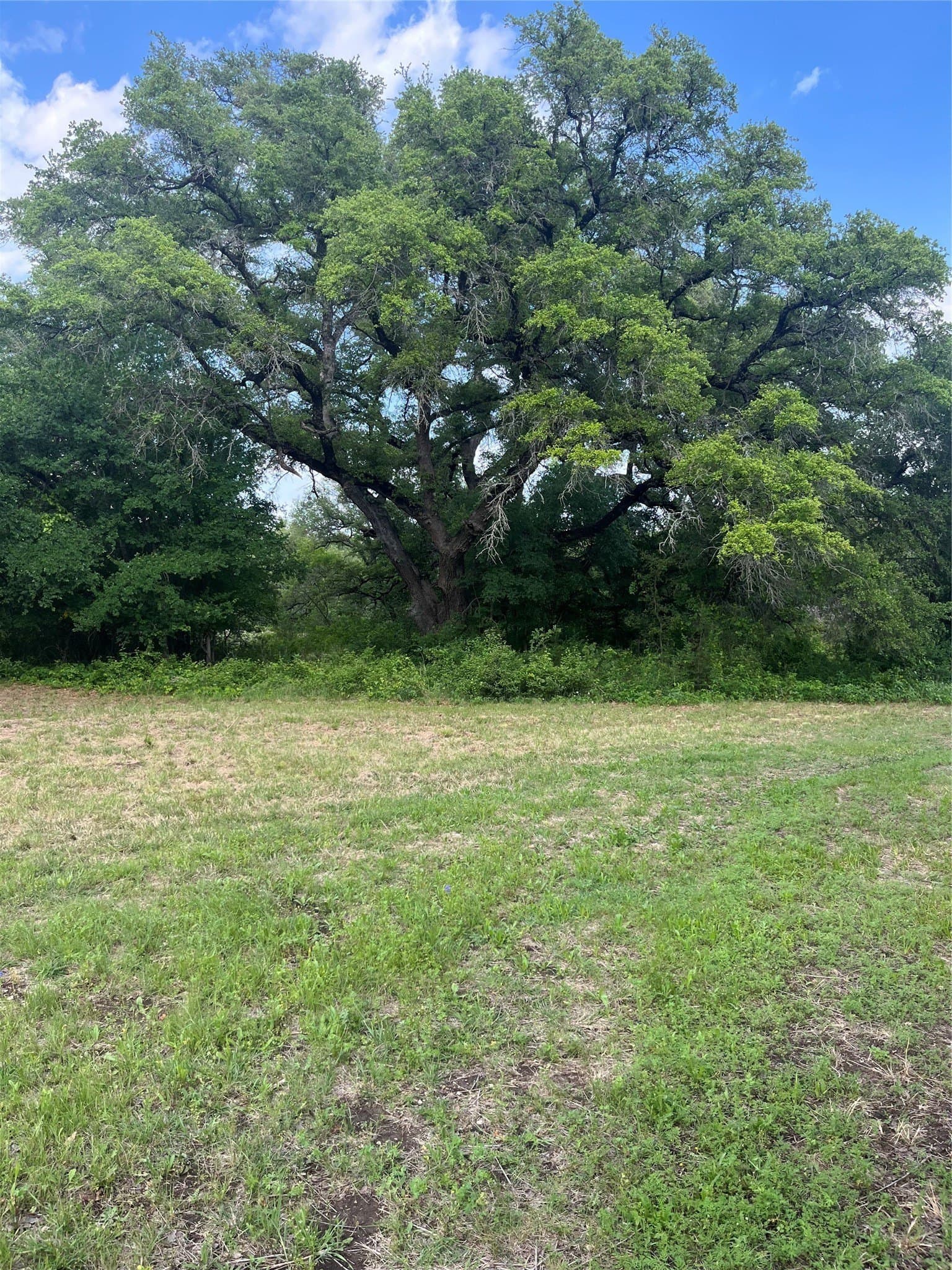 20 acres in Bosque County - photo 21