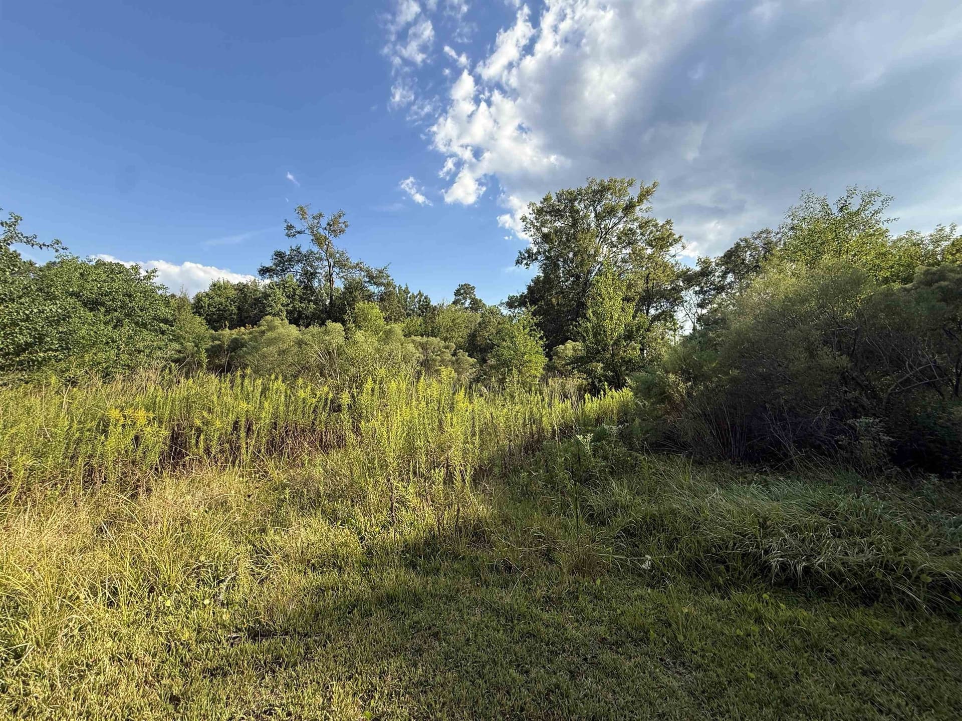 3.05 acres in Texas County featured view