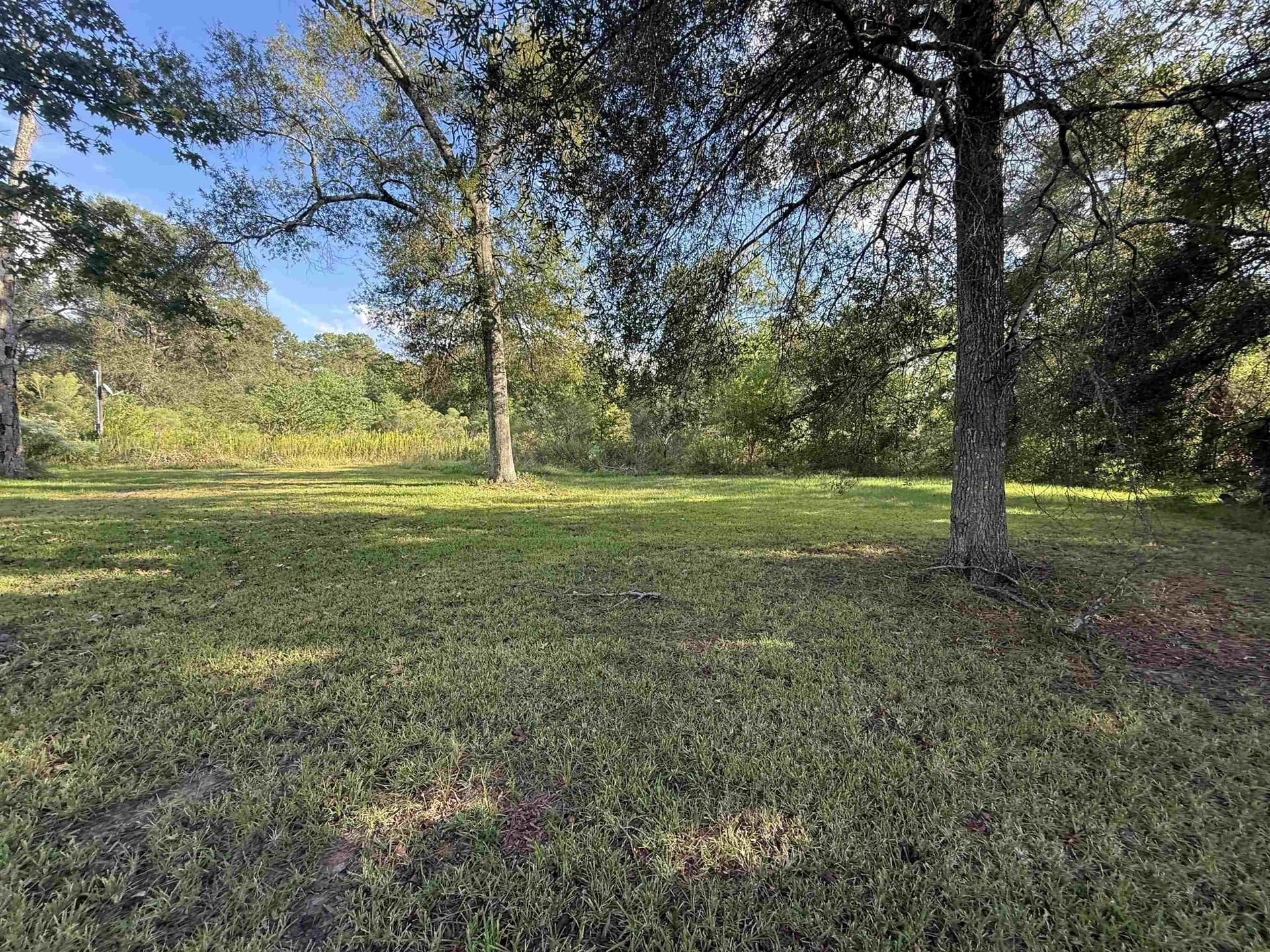 3.05 acres in Texas County gallery image 4
