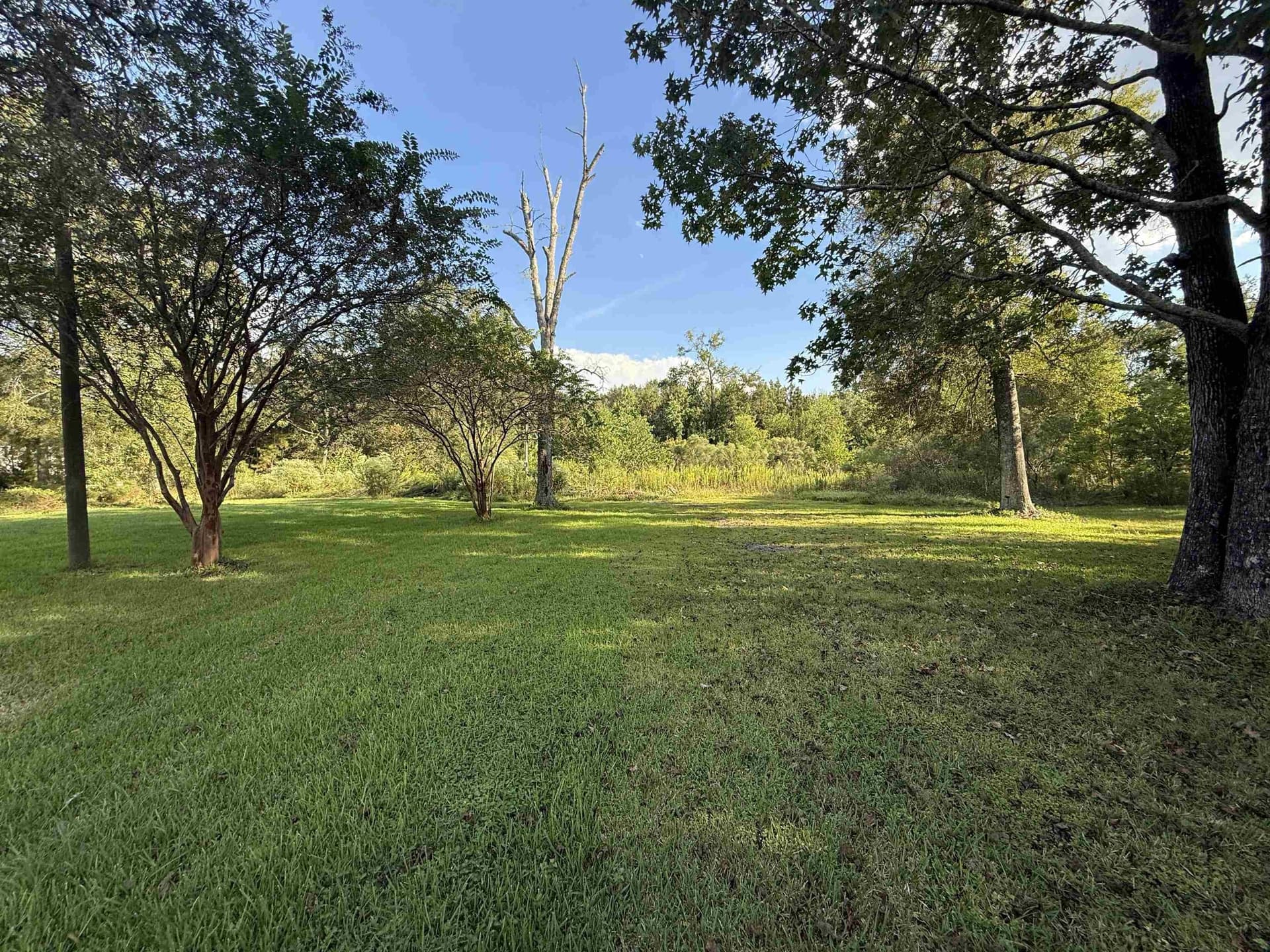 3.05 acres in Texas County gallery image 3