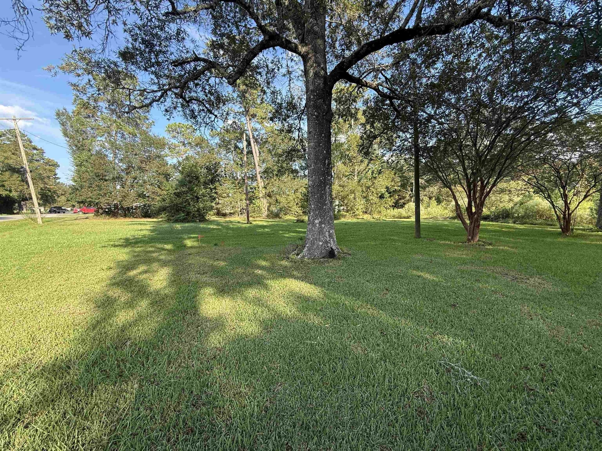 3.05 acres in Texas County gallery image 2