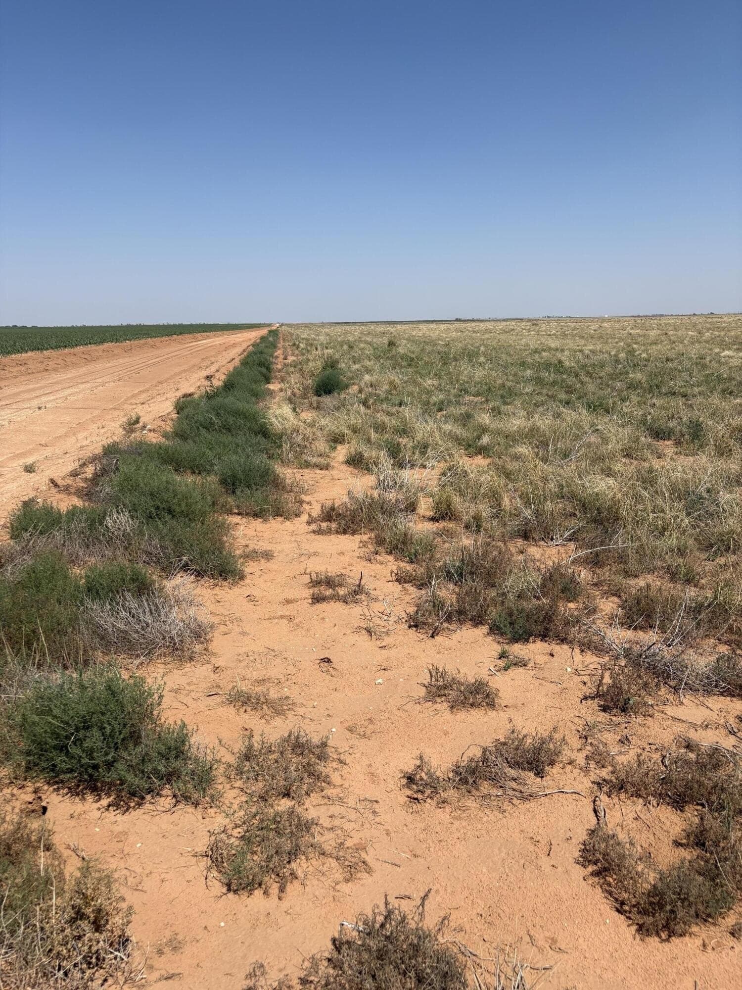 177.15 acres in Hockley County - photo 5