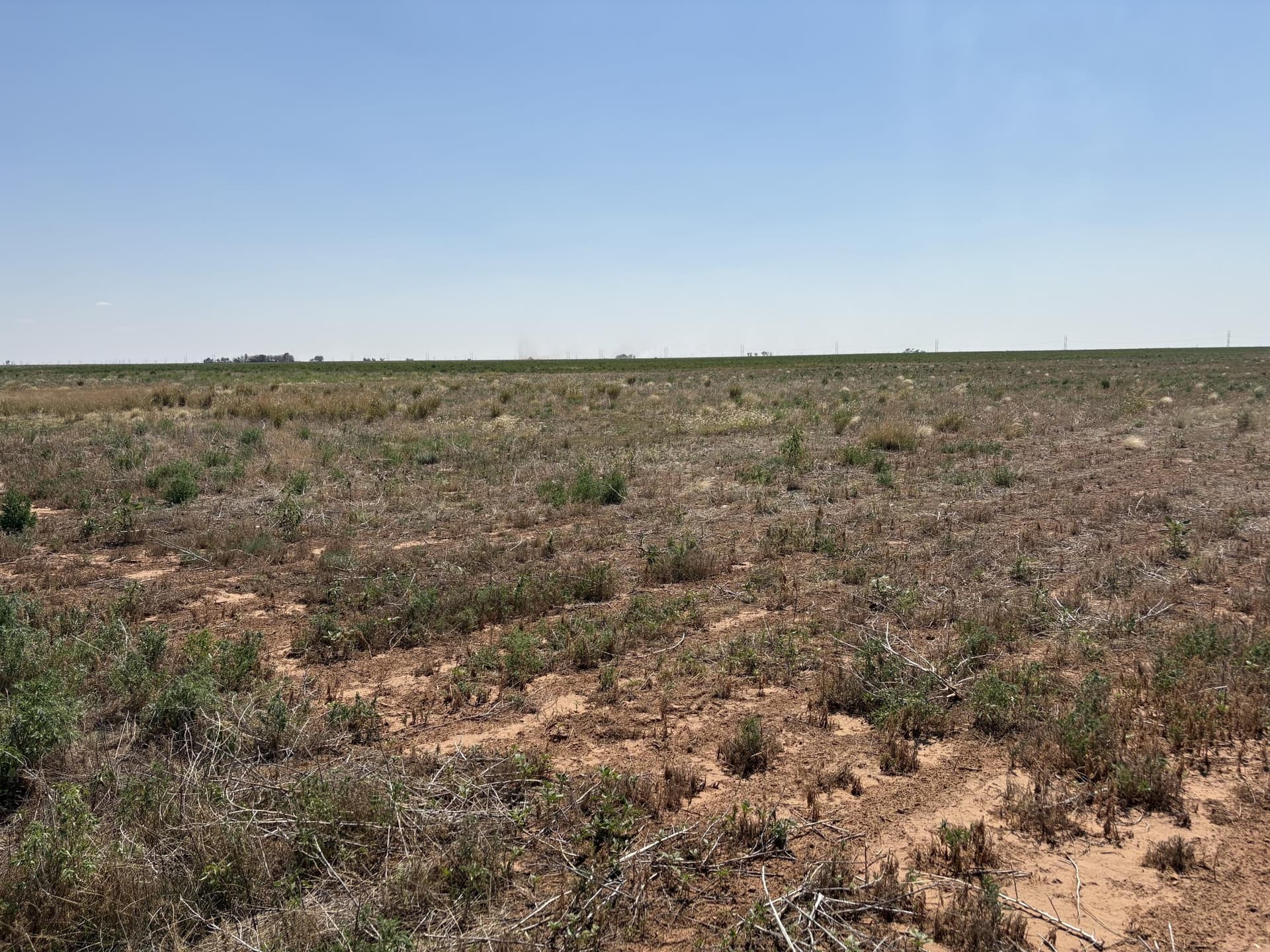 177.15 acres in Hockley County - photo 7