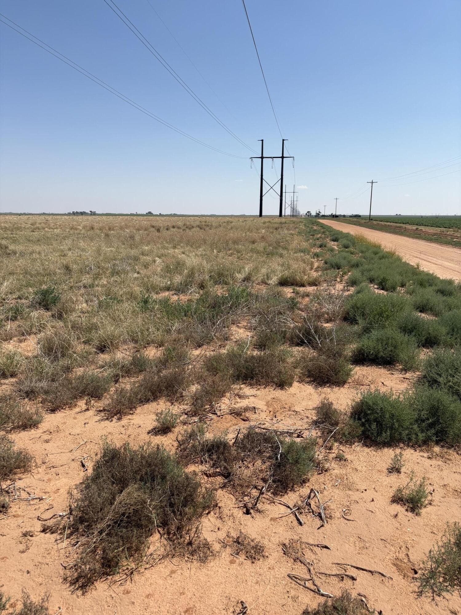 177.15 acres in Hockley County - photo 4