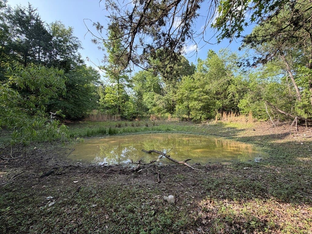 4.3 acres in Van Zandt County gallery image 2