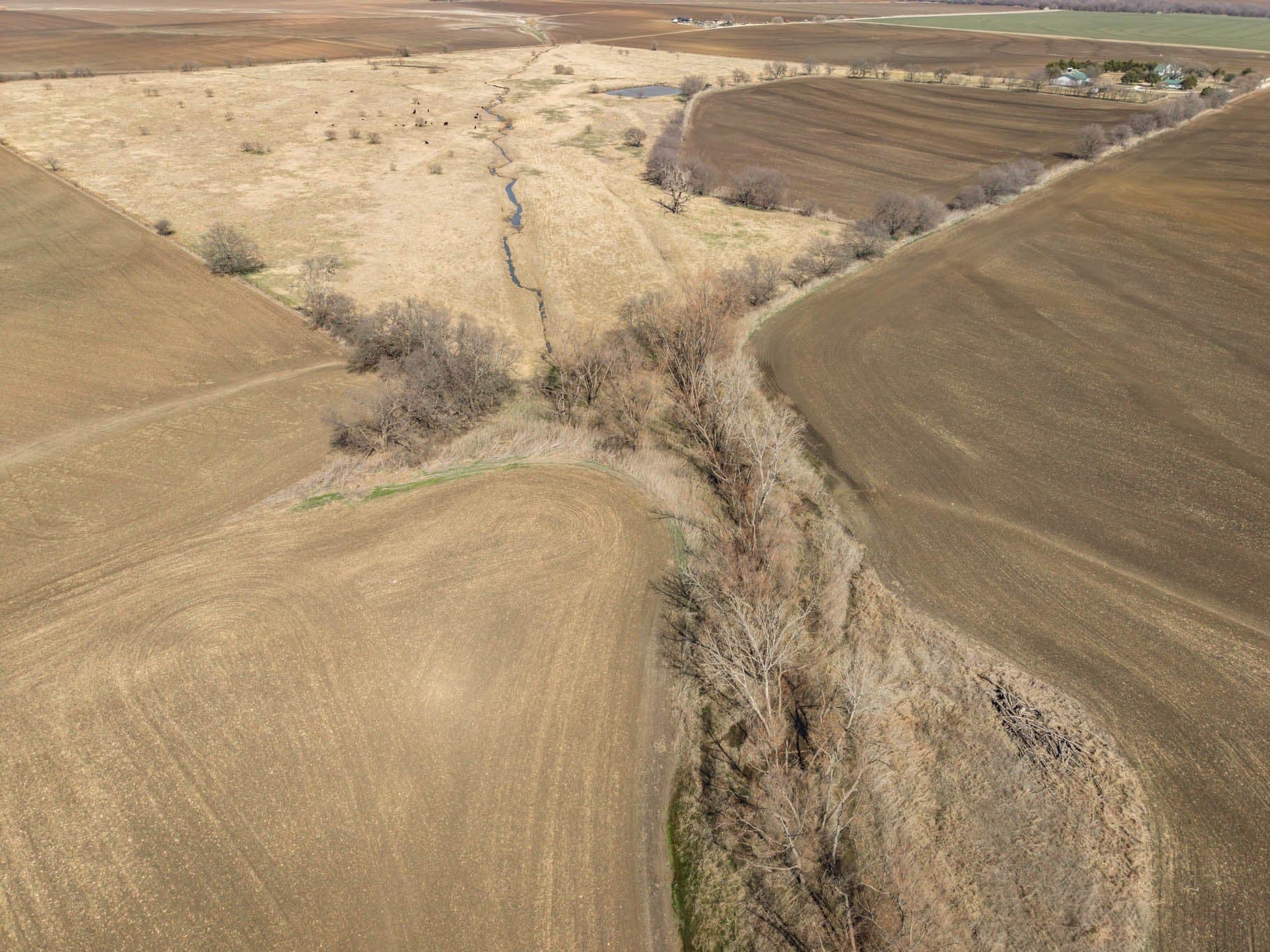 12.02 acres in Hill County - photo 13
